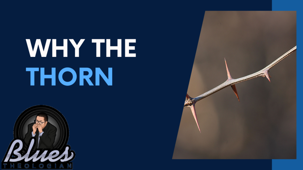 Why The Thorn 1024x576